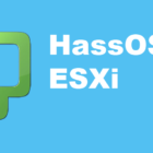 Setup HassOS VM in ESXi